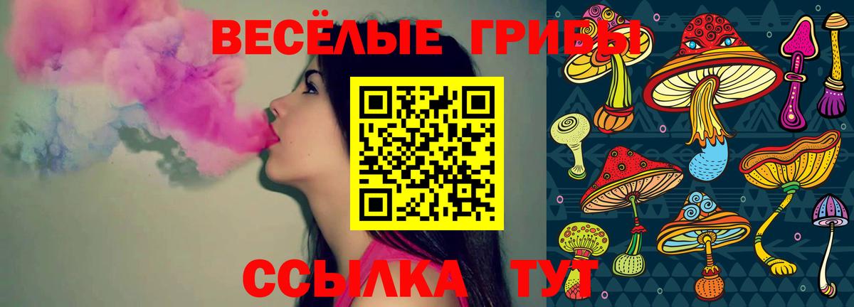 Галлюциногенные грибы GOLDEN TEACHER Красный Сулин